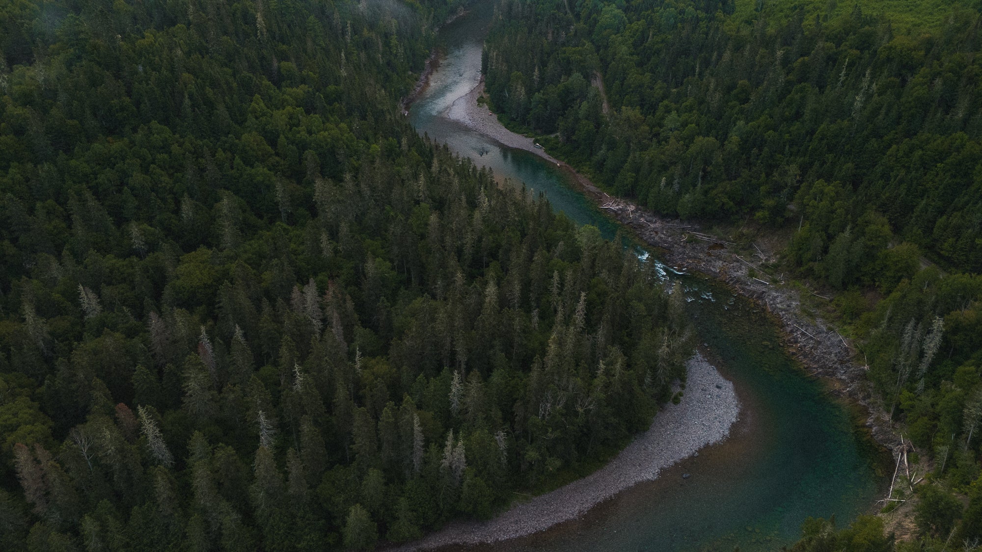 Aerial view of the Bonaventure, an Atlantic salmon river, running through a dense forest