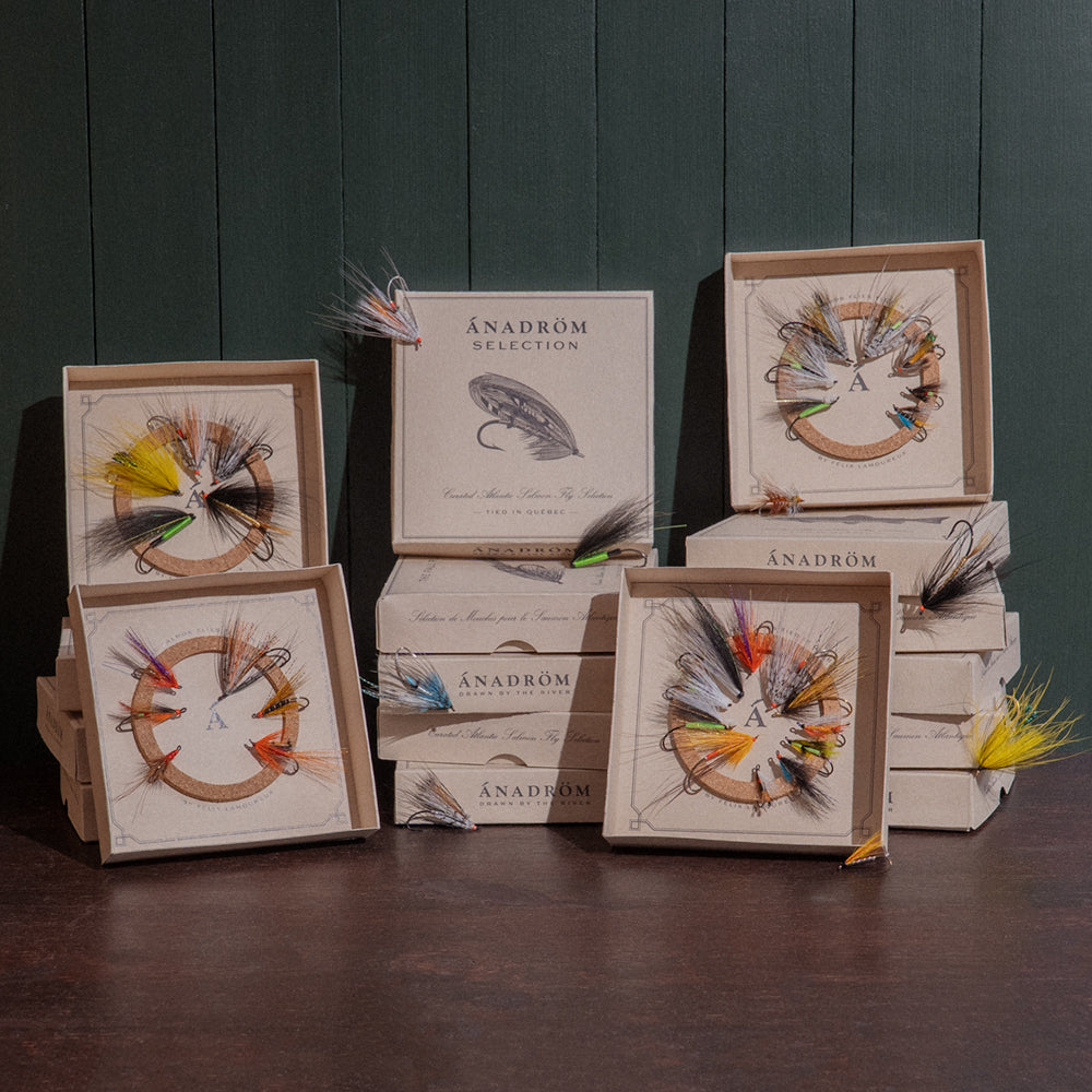 Curated Salmon & Trout Selections