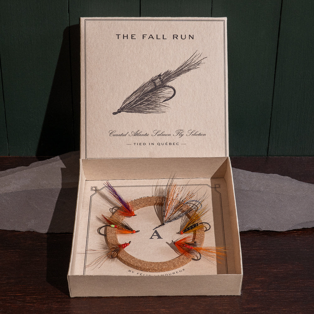 Ánadröm's The Fall Run box open, six warm-toned Atlantic salmon flies on cork insert.