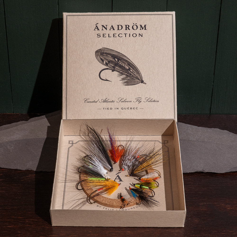Ánadröm Selection box open, eleven hand-tied Atlantic salmon flies arranged on cork insert.