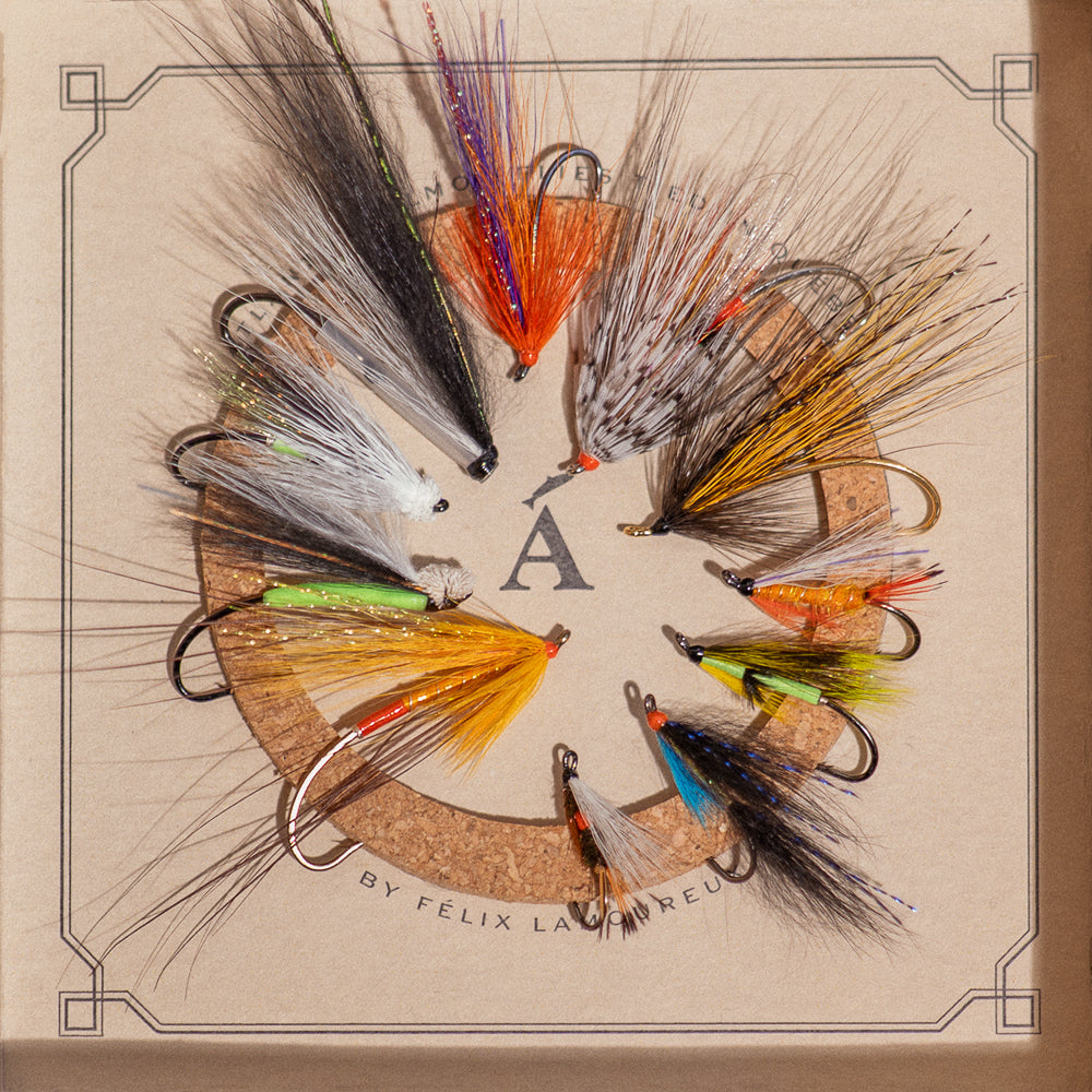 Eleven hand-tied Atlantic salmon flies on cork insert in an Ánadröm fly box, top-down view.